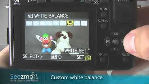 Panasonic GF1: White Balance Guide