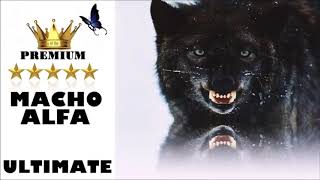 YouTube video ACXaUbxBBGQ
