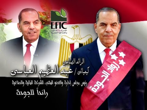 الشركة المالية والصناعية