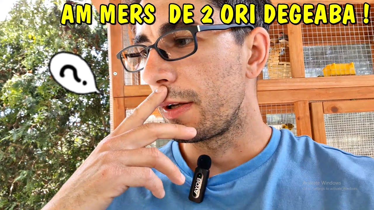 Viața la țară - Mi-am luat ȚEAPĂ cu drumul de 2 ori.. 250 km pentru nimic dar se mai întâmplă