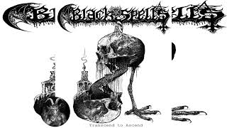 Black Spells - Transcend to Ascend