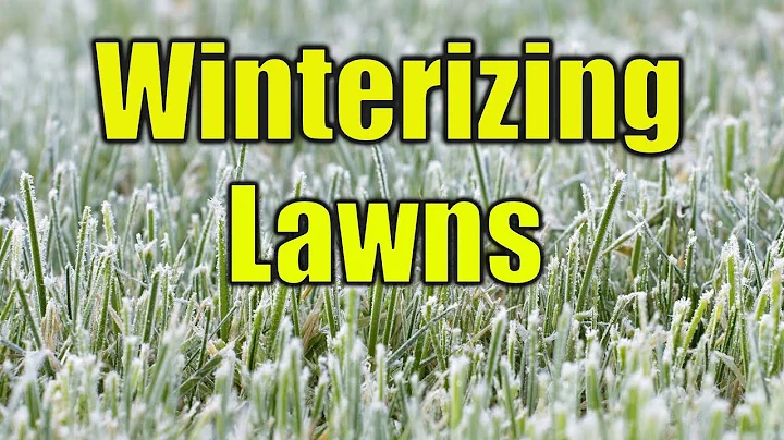 Winterizing Your Lawn