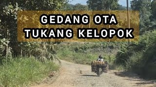 Lagu Tebo Jambi ' GEDANG OTA '