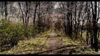After Effects CS5.5  Rain Lens + Rain + color Levels