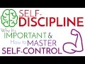 Self-Discipline | Why It’s Important & How to Master Self-Control