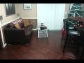 Walkera super cp in home beginner flying