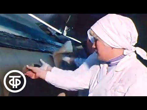Чудо-водоросль для агар-агара. Время. Эфир 13 ноября 1979