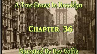 A Tree Grows In Brookly Chapter 36