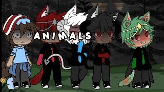 Animals GLMV News