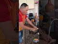27 de março de 2024