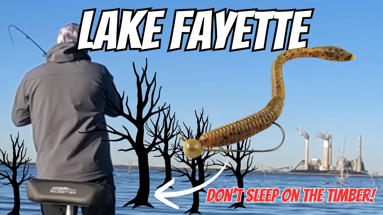 Bass Fishing the Timber on Lake Fayette  (SSO Style)