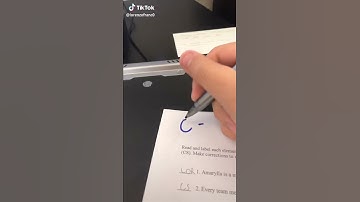 How To Change Your Grades Professionally ~ TikTok