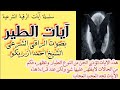 آيات الطير بصوت الراقي الشرعي الشيخ احمد ازريكو 