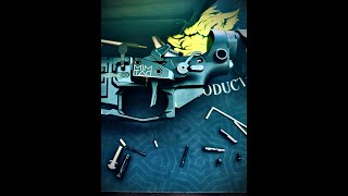 Selektor Compatibility Requirements