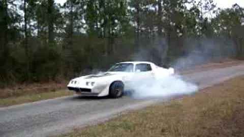 1979 trans am burnout-2 built 455