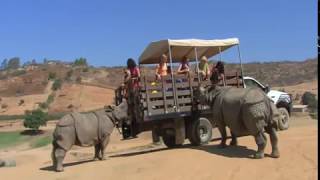 San Diego Safari Park  American Treasure Earth Day 2020