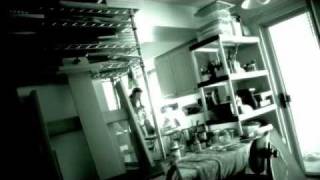 The Cattle (2011)