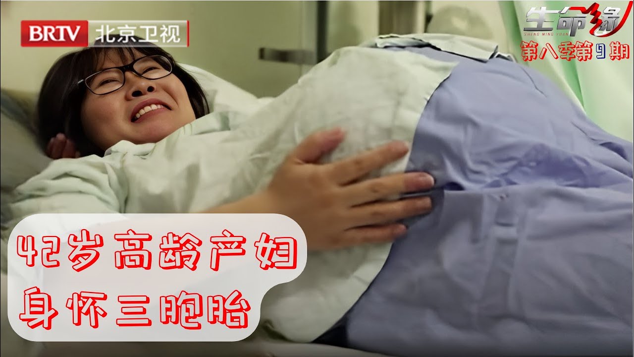 42岁女博士一心拼事业,等到头发白了才后悔,拼了命也要生孩子,没想到怀上三胞胎快把肚子撑爆了【生命缘第八季】