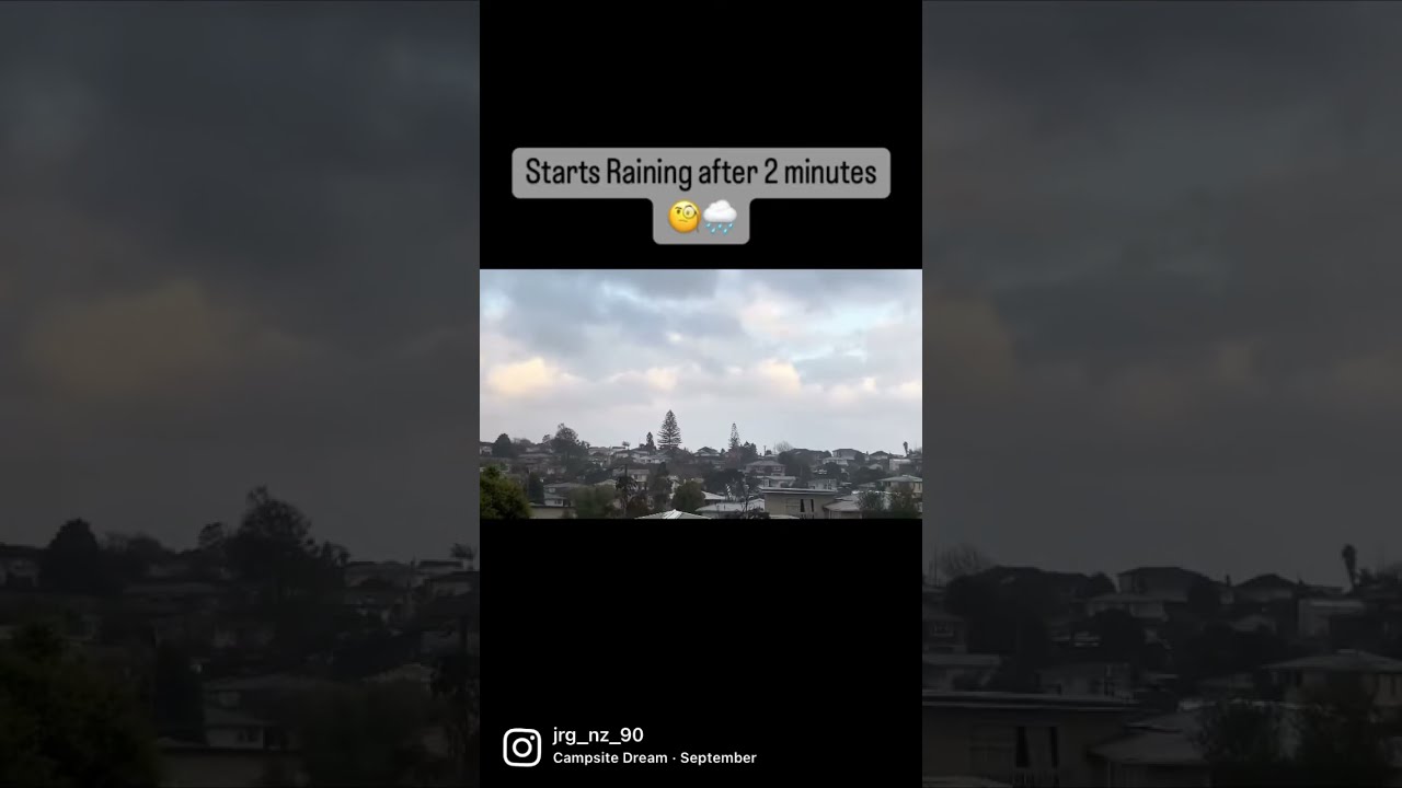 Living Alone New Zealand 🇳🇿 Dairies