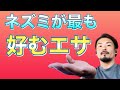 ネズミが好む物には、ある共通点が。。