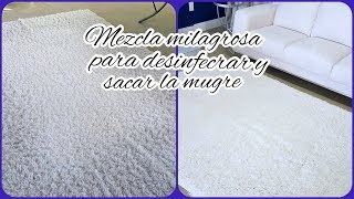 Como Lavar Una Alfombra En Casa Diy Liquido Que Si Sacan La Mugre Tips De Limpieza