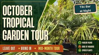 Tropical Garden Tour & Approaching the Winter in UK with Tender Plants #tropicalgarden