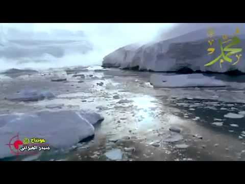 اللهم صلي وسلم وزد وبارك على النبي المصطفى