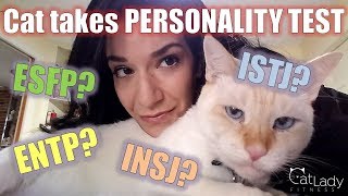 What is my CAT'S Myers-Briggs Personality Type? (Live MBTI Test!) - Cat Lady Fitness screenshot 5