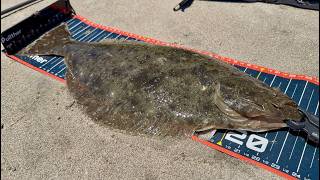 Surf Fishing a Dropshot for Halibut! B.A.P. Swimbaits Smackin the California Halibuts!