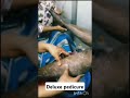 Deluxe pedicure