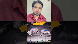 Bihar is Not for Beginners 😮 | Real Life Experience #BiharFacts#BiharHistory