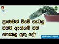 ප්‍රාණවත් වීමේ ගැටලු ඔබට ඇත්නම් ඔබ නොකල යුතු දේ?