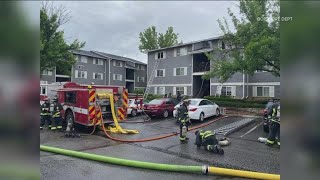 Dog rescued from Boise apartment fire