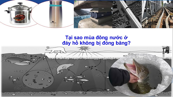 Đánh giá ổn định bằng phương trình trạng thái năm 2024