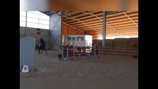 Met Unique Gaan Trainen En 130 Gesprongen