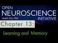 "Learning and Memory" Chapter 13 - Open Neuroscience Initiative free textbook narration