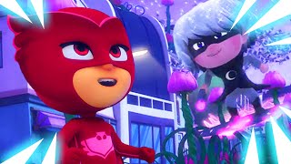 Pj Masks Super Pigi Gufetta E I Fiori Lunari Cartoni Animati