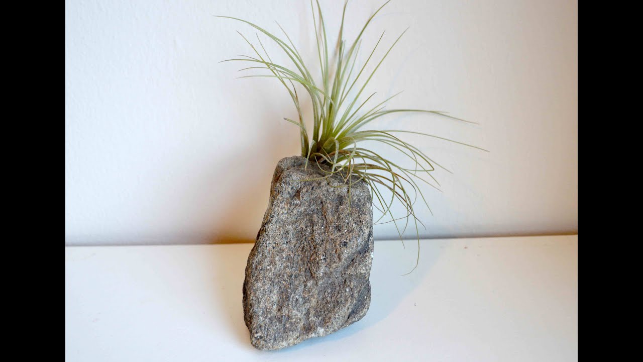 How To Make Stone Air Plant Holders With Polymer Clay