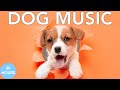 Relax my dog music deep separation anxiety music to calm dogs