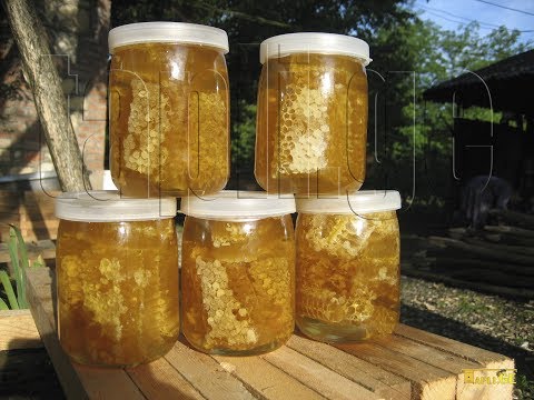 მაისის, აკაციის თაფლი 2017