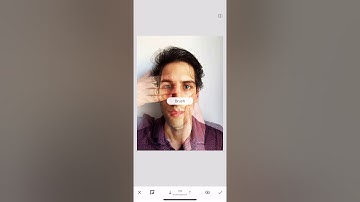 Snapseed - How to edit using layer mask
