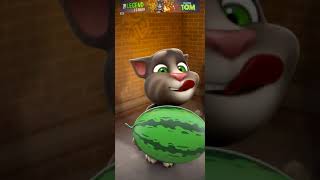 Talking Tom Cat New Video Best Funny Android Gameplay
