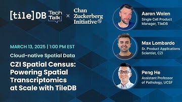 Powering Spatial Transcriptomics at Scale with TileDB
