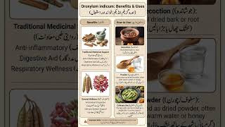 oroxylum antiinflammatory digestive respiratory wellness #hakeemhafizmughal #healthtips #oroxylum