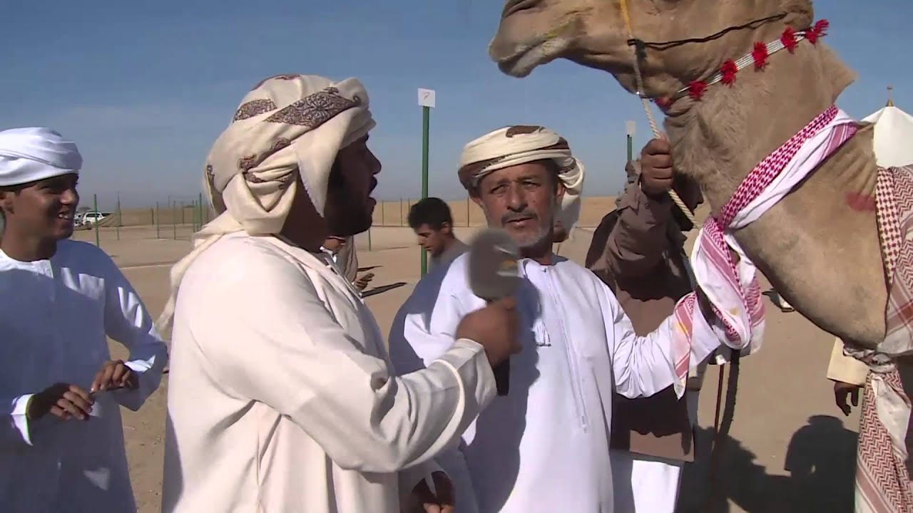 مزاينة حمراء الدروع اليوم الثاني - سلطنة عمان