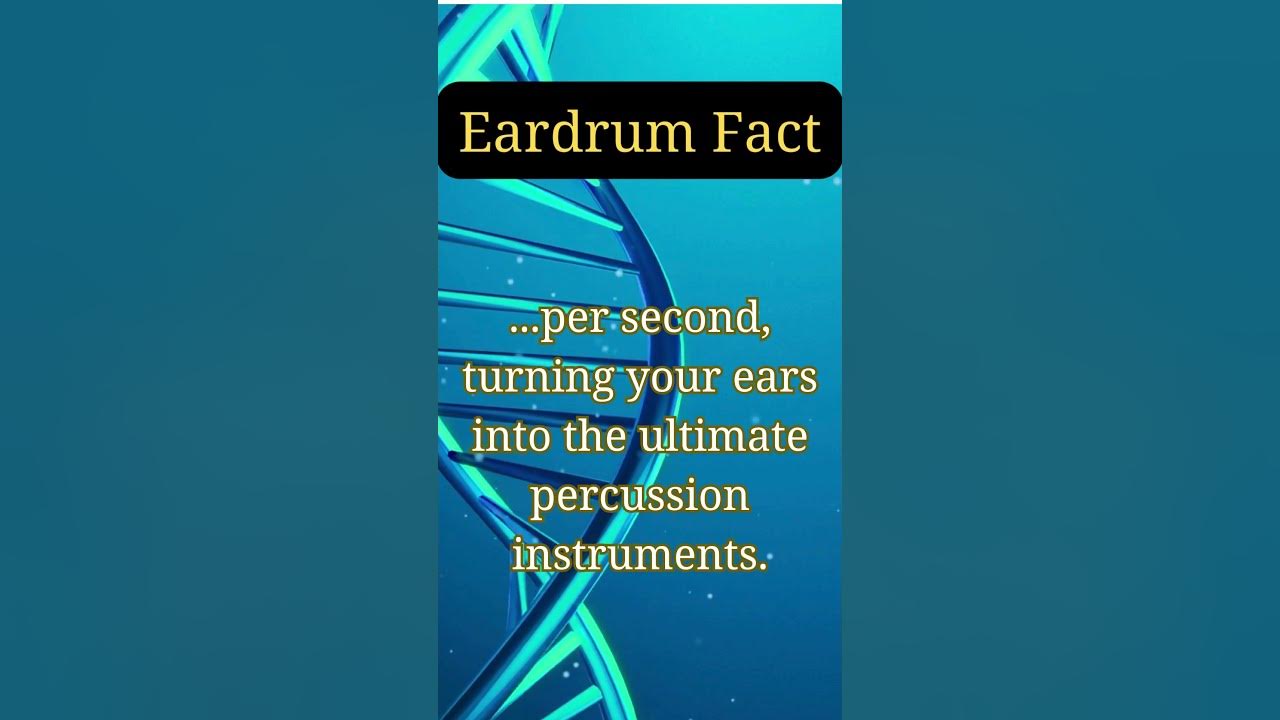 Eardrum Fact Interesting Fact About Ear Learn the facts ear 