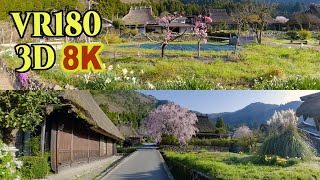 [ 8K 3D VR180 ] 春の美山かやぶきの里（京都府 南丹市美山町）Spring scenery of Miyama Kayabuki Village in Kyoto