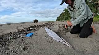 DIG OUT OF A BEAUTIFUL HAND CARVED OUTRIGGER CANOE!!!