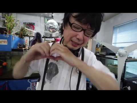 君にチューイングガム ASMR Gum Chewing