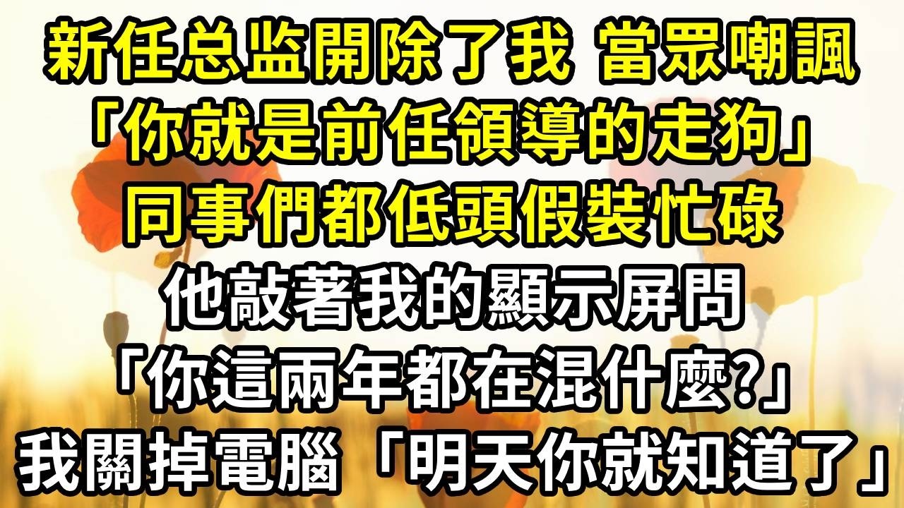 新任总监第一周就開除了我，當衆嘲諷「你就是前任領導的走狗」。同事們低頭假裝忙碌，他敲著我的顯示屏問「你這兩年都在混什麼？」我關掉電腦：「明天你就知道了」